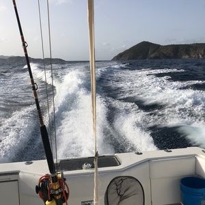 Meet your Posher, Britt